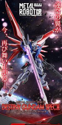 METAL ROBOT魂 ＜SIDE MS＞ デスティニーガンダムSpecII
