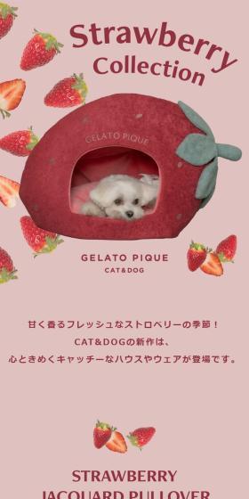 Cat & Dog Strawberry Collection LP design (Pet food and pet supplies / Pink shades / Cute style) Mobile version