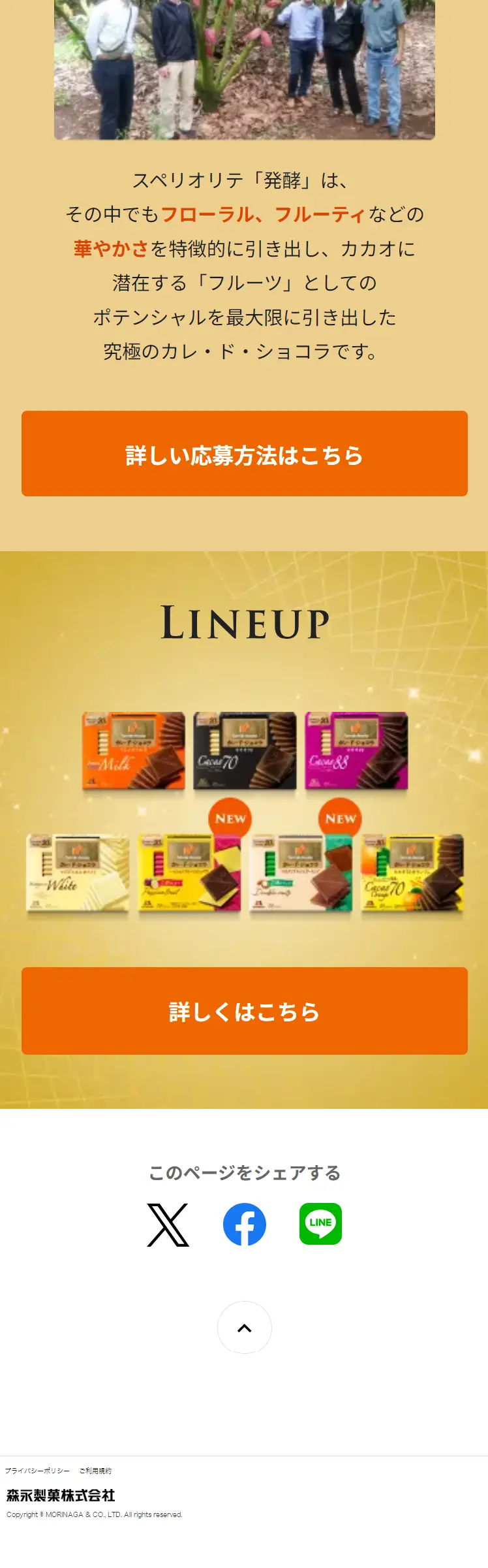 カレ・ド・ショコラのLPデザイン（イベント・キャンペーン・ギフト／ベージュ系／キレイ系）スマホ版