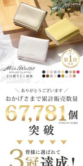 Tri-fold mini wallet LP design (Wallets, accessories,pouches / Beige tones / Stylish type) Mobile version