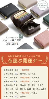 Compact Accordion Wallet