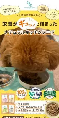 ドッグフード工房お試しセットのLPデザイン（ペットフード ・ ペット用品／イエロー系／かわいい系）スマホ版