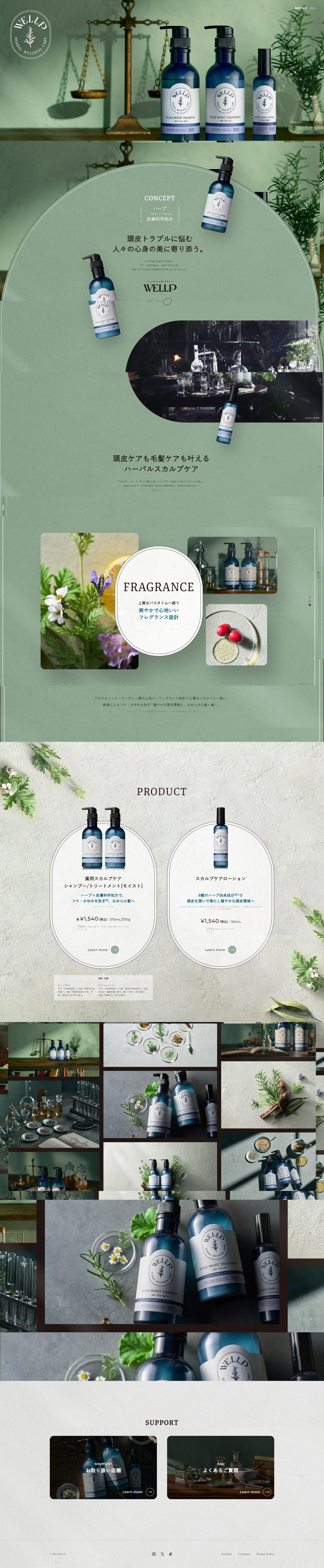 WELLP LP design (Skincare, Bodycare, Haircare / Green tones / Simple) PC version