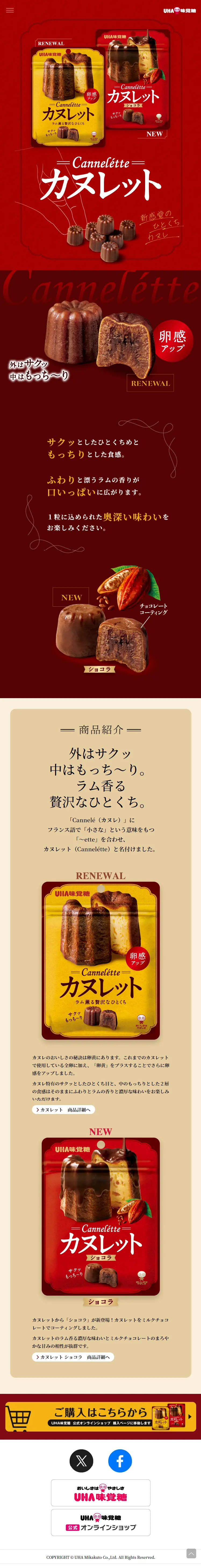 CannelétteのLPデザイン（洋菓子／レッド系／キレイ系）スマホ版