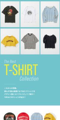 The Best T-SHIRTS Collection