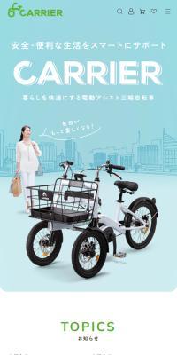 Front Two-Wheeled Electric Assist Bicycle CARRIER