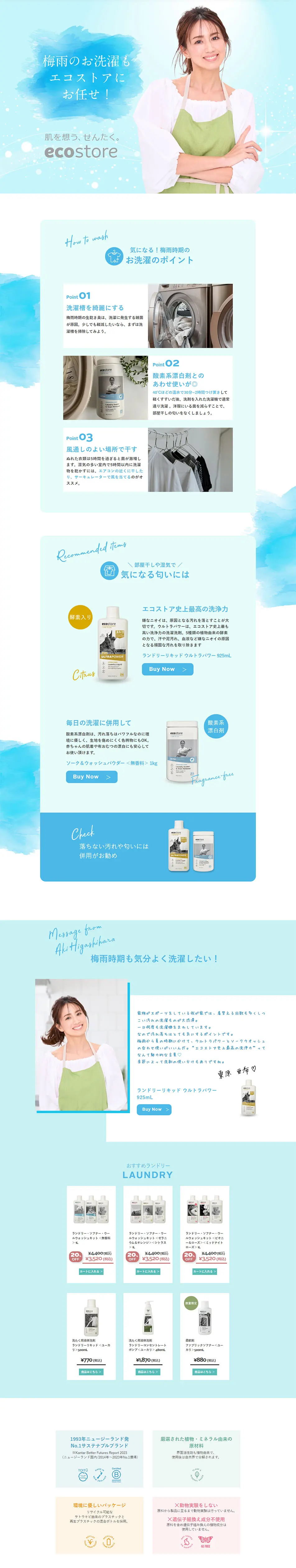 ecostore LP design (Businesses, companies, stores / Shades of blue / Clean-cut) PC version