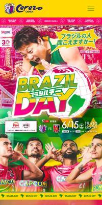 BRAZILDAY