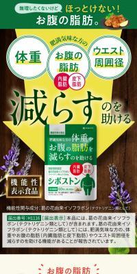 Shiboston LP design (Diet supplements and diet drinks / Green tones / Health and Wellness) Mobile version