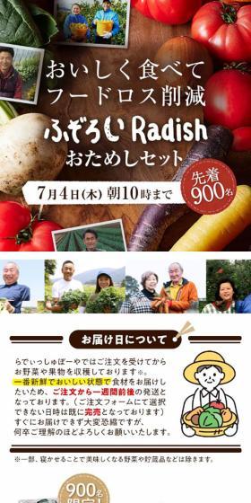 ふぞろい/もったいない食材おためしセットのLPデザイン（イベント・キャンペーン・ギフト／カラフル系／にぎやか系）スマホ版