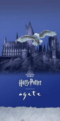 Harry Potter agete