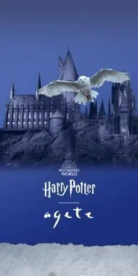 Harry Potter ageteのLPデザイン（レディースファッション／ブルー系／神秘系）スマホ版