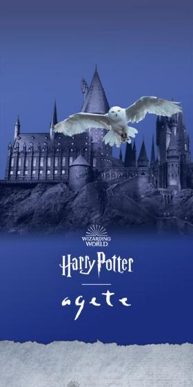 HarryPotteragete LP design (Women's fashion / Shades of blue / Mystical) Mobile version