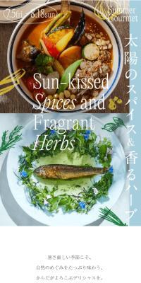 Sun-kissedSpicesandFragrantHerbs: Sun-kissed Spices & Fragrant Herbs