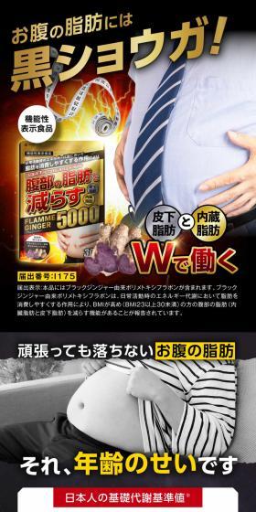 フラムジンジャーのLPデザイン（健康食品・健康ドリンク・サプリメント／ブラック系／にぎやか系）スマホ版