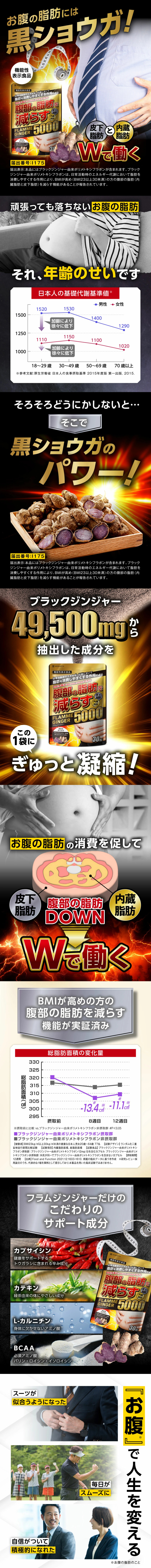 Fulam Ginger LP design (Health foods, health drinks, and supplements / Black-colored / Lively type)