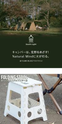 Folding Step Stool