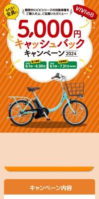 ViVi no Hi Cashback Campaign