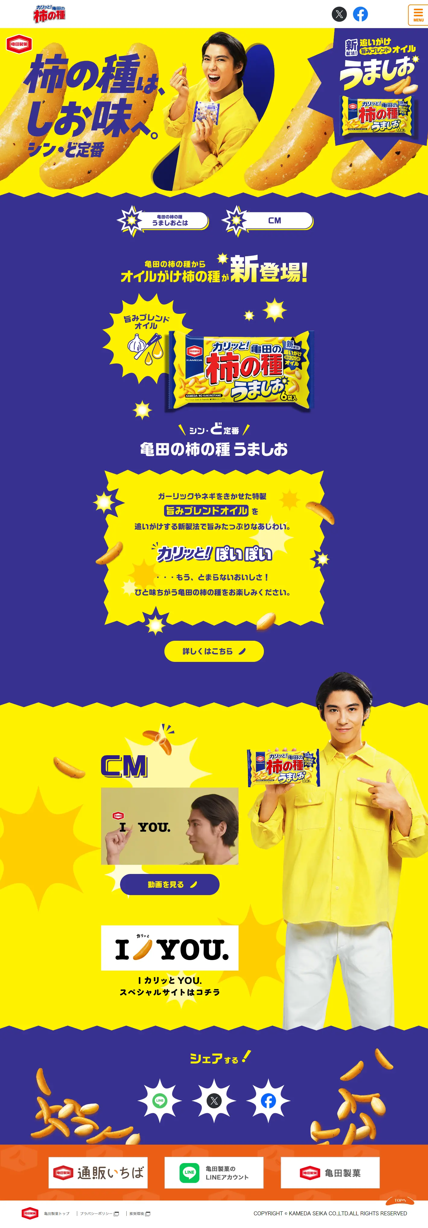 Kamedanokakinotane Umashio LP design (Snack foods, gum, and candy / yellow / Lively type) PC version