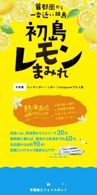 初島レモンまみれ