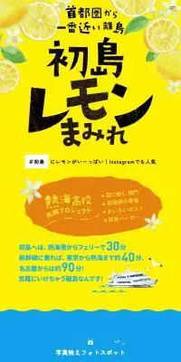 初島レモンまみれのLPデザイン（イベント・キャンペーン・体験／イエロー系／にぎやか系）スマホ版