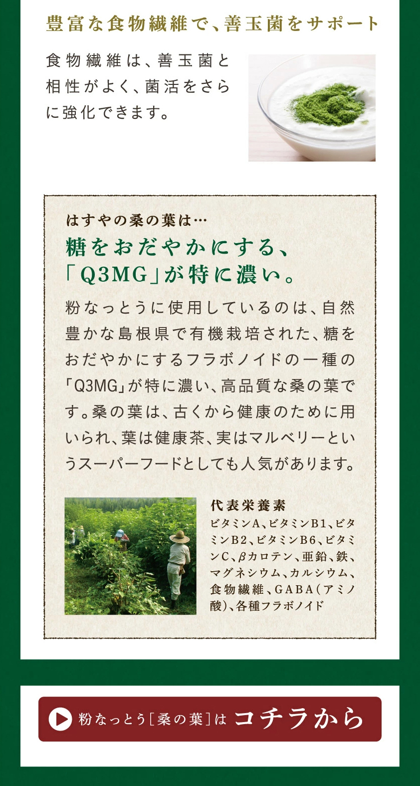 Konanatto Coarsely Ground LP design (Health foods, health drinks, and supplements / Brown tones / Japanese style)