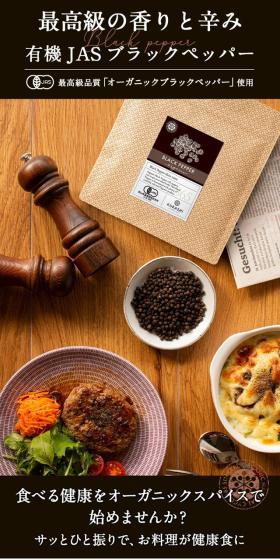 ブラックペッパーのLPデザイン（調味料・甘味料・ダシ・スープ／ブラウン系／オーガニック系）スマホ版