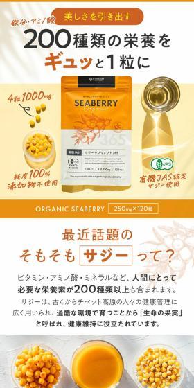 シーベリーのLPデザイン（健康食品・健康ドリンク・サプリメント／オレンジ系／シンプル系）スマホ版