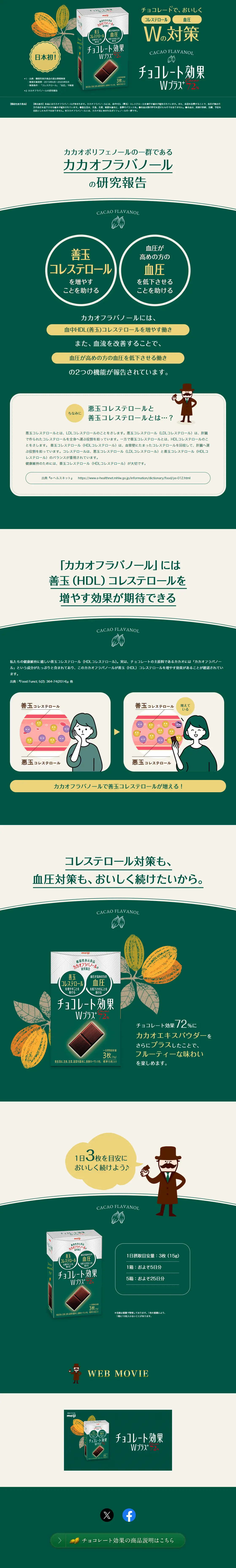 チョコレート効果Wプラスカカオ72％のLPデザイン（洋菓子／グリーン系／スタイリッシュ系）PC版