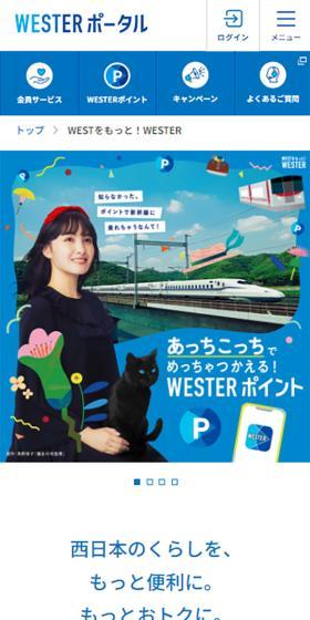 Incredibly useful everywhere! WESTER Points