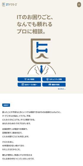 IT Doctors LP design (Diagnosis, Matching, and Summary / Shades of blue / Simple) Mobile version