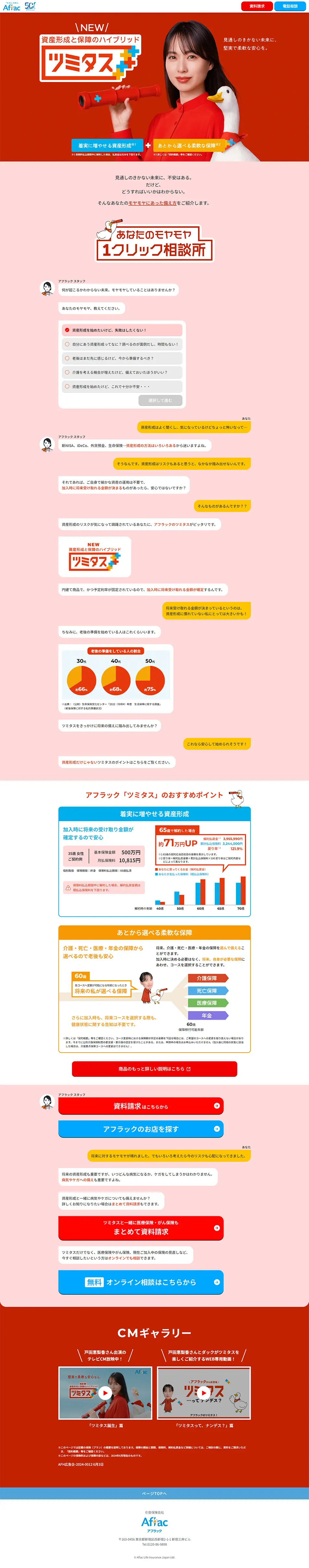 Tsunitas LP design (Insurance, Finance, Credit / Red tones / Simple) PC version