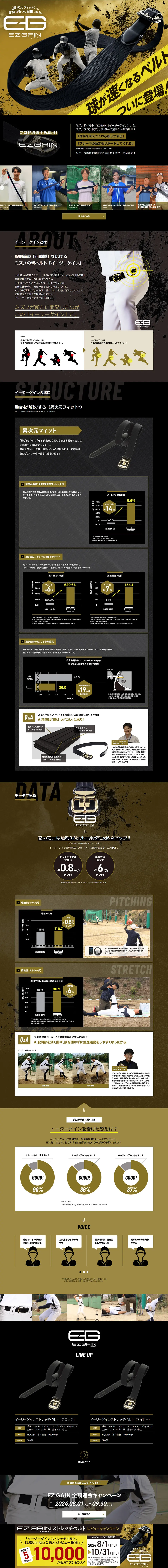 Easy Gain LP design (Sporting goods / Black-colored / Cool style) PC version