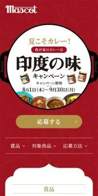 印度の味のLPデザイン（調味料・甘味料・ダシ・スープ／レッド系／にぎやか系）スマホ版