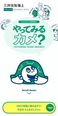 やってみるカメ？プロジェクト