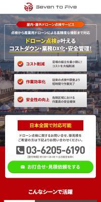 Drone Inspection Service