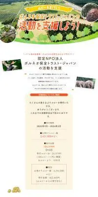 ルビーを寄付してボルネオ保全トラスト・ジャパンの活動を支援しよう！のLPデザイン（スナック・ガム・あめ・グミ／グリーン系／かわいい系）PC版