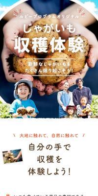 じゃがいも収穫体験