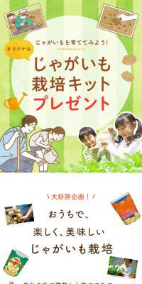オリジナルじゃがいも栽培キットプレゼント