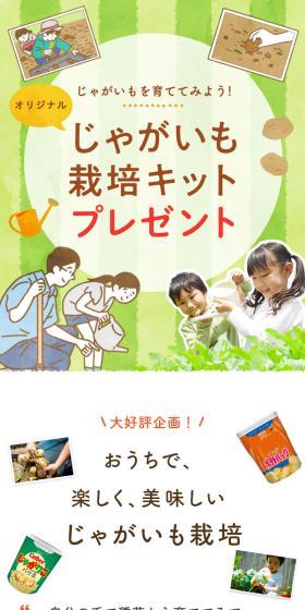 じゃがいもを育ててみよう！
