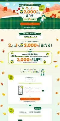 外貨預金口座開設キャンペーンのLPデザイン（保険・金融・クレジット／オレンジ系／かわいい系）PC版