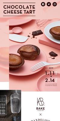 CHOCOLATE CHEESE TART