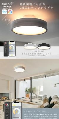 Edison Smart Dual Ceiling Light