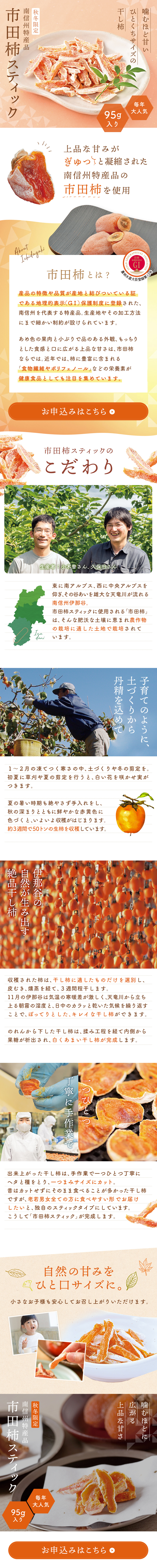 Ichidagaki Stick LP design (fruit-vegetable / Orange tones / Japanese style)