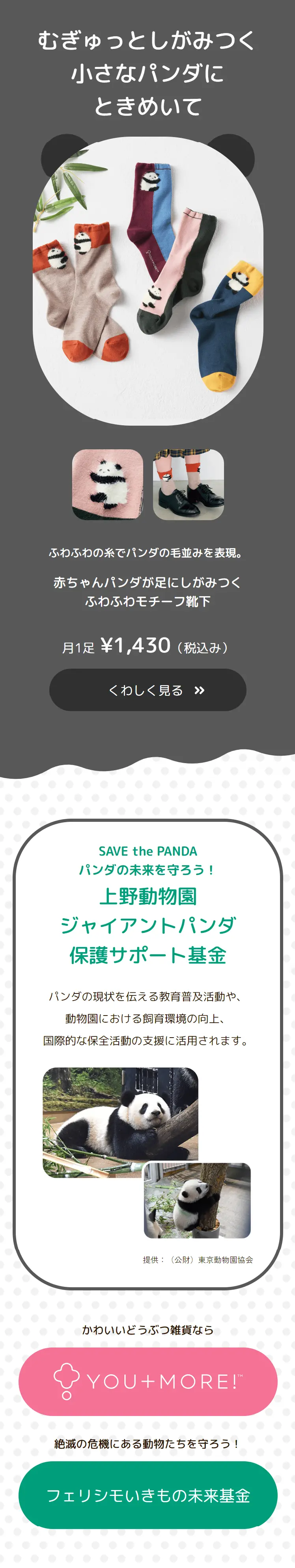 パンダ応援特集のLPデザイン（レディースファッション／グリーン系／かわいい系）スマホ版