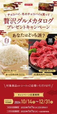 Choco Pie Gourmet Catalog Campaign