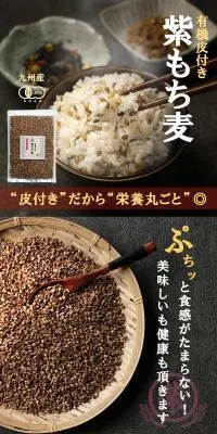 紫もち麦のLPデザイン（米・雑穀・シリアル／ブラウン系／信頼・安心系）スマホ版