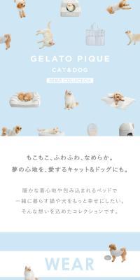GELATOPIQUECAT&DOGDEBUTCOLLECTION