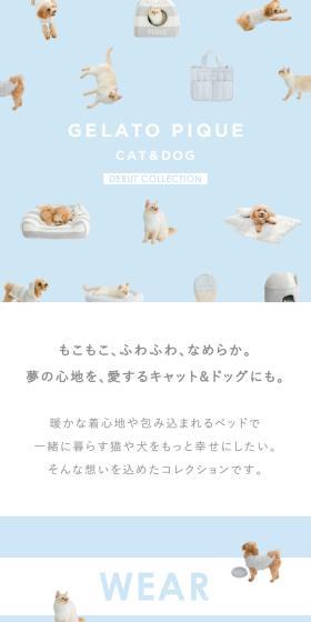 GELATOPIQUECAT&DOGDEBUTCOLLECTION LP design (Pet food and pet supplies / Shades of blue / Cute style) Mobile version