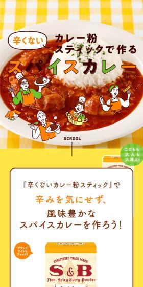 Making with Curry Powder Sticks